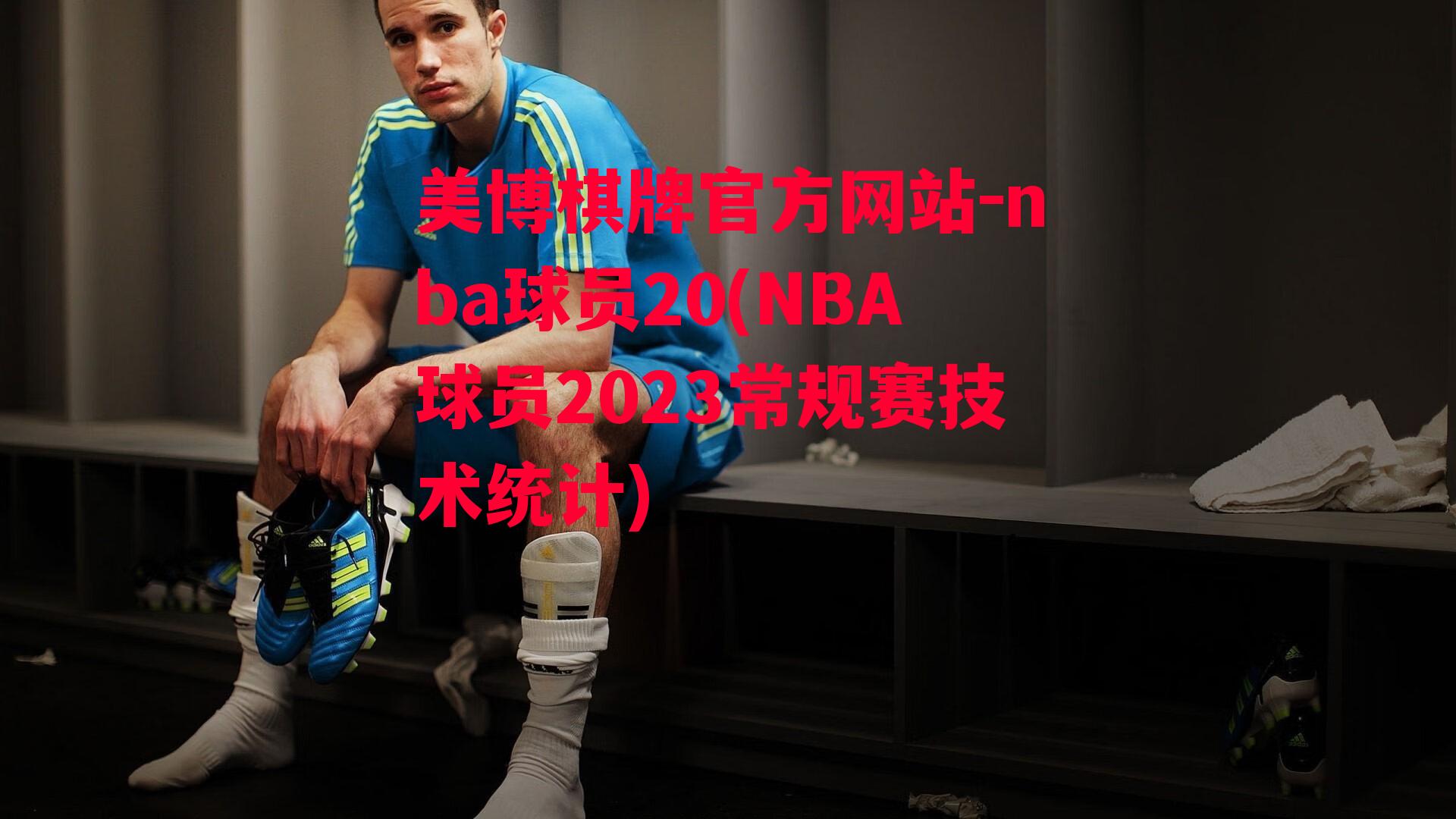 nba球员20(NBA球员2023常规赛技术统计)